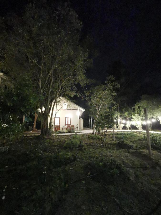 Baangaimuan Bed & Breakfast Lamphun Luaran gambar