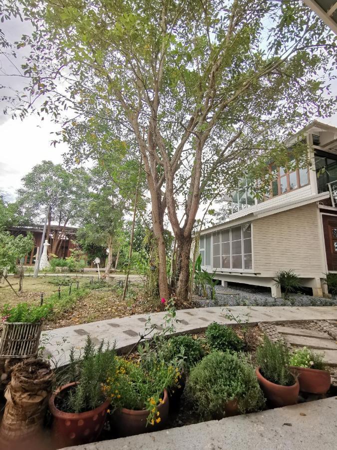 Baangaimuan Bed & Breakfast Lamphun Luaran gambar