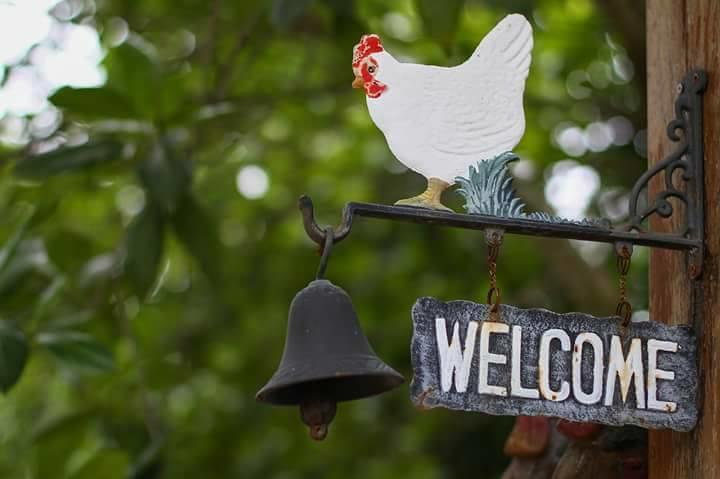 Baangaimuan Bed & Breakfast Lamphun Luaran gambar